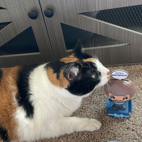 SMOKE FREE, PET FRIENDLY💞🤗😻Plz Read♥️ - Picture 7 of 10